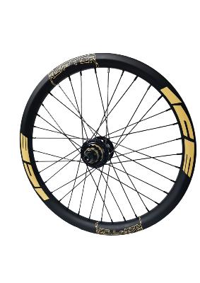 Roue Arrière ICE RAPTOR 20" Carbone Noir / Sable - Moyeu ICE HACKER Disque