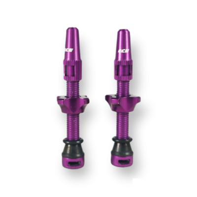 Paire de Valves ICE AIRFLOW Tubeless 44 mm Violettes