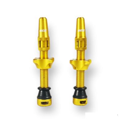 Paire de Valves ICE AIRFLOW Tubeless 44 mm Gold