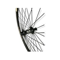 Roue Avant ICE T-REX Carbone Disc 20" x 1-3/8  + Moyeu ICE TANK Ø 20 mm logo Sable