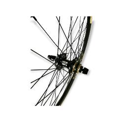 Roue Arrière ICE T-REX Carbone Disc 20" x 1-3/8 + Moyeu ICE HACKER Disque logo sable