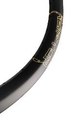 Cercle ICE RAPTOR Carbone 20 x 1,75' Tubeless Ready 36 trous (ERD 375mm) logo Sable