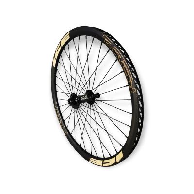 Roue Avant ICE T-REX Carbone Disc 20" x 1-3/8  + Moyeu ICE TANK Ø 20 mm logo Sable